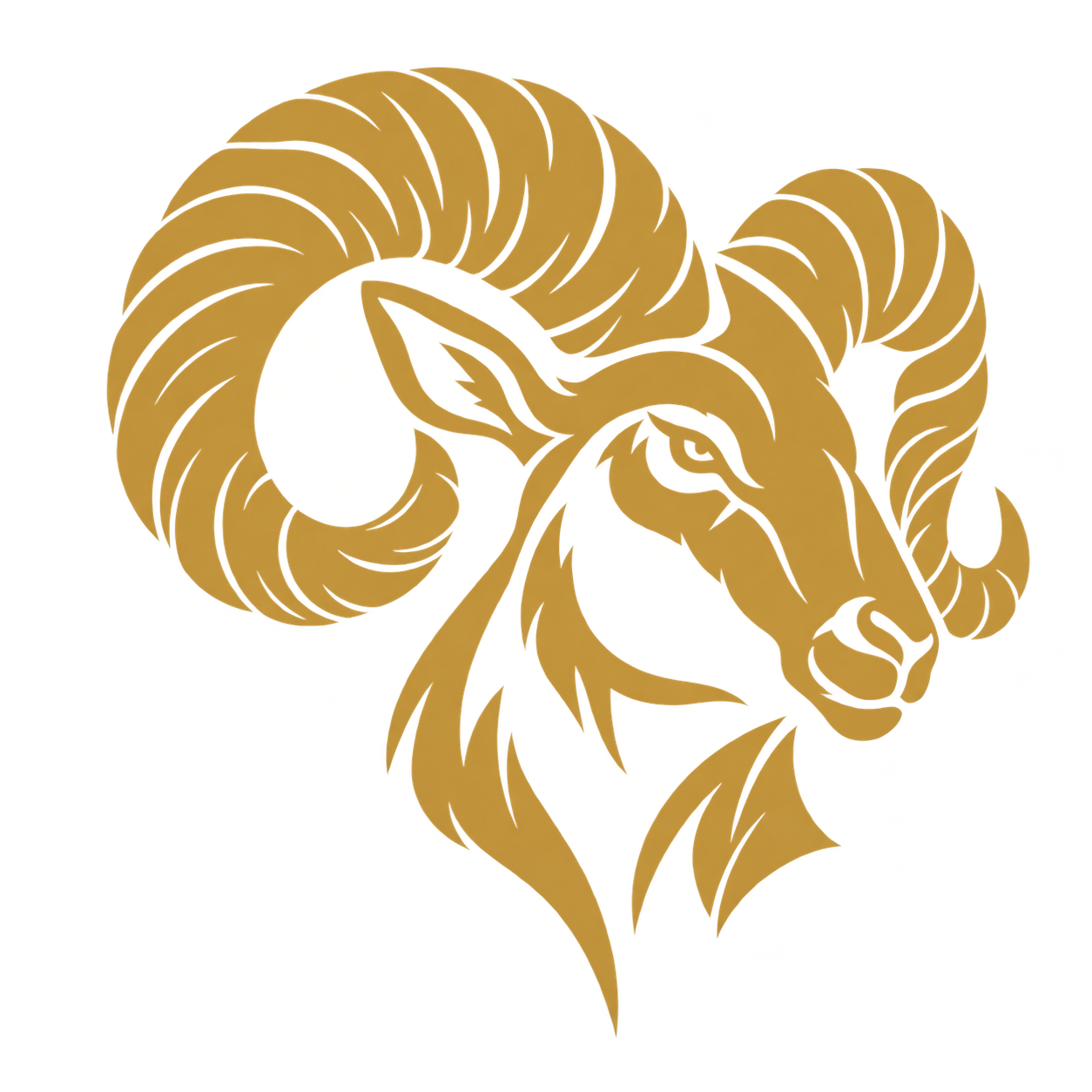 STEDANOR detailed bighorn emblem